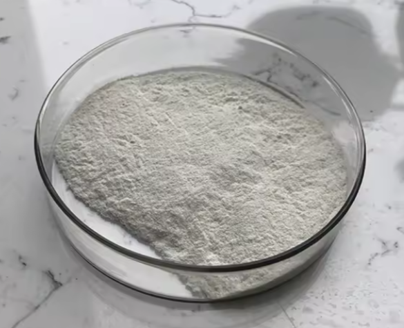 Chitosan Nano Powder